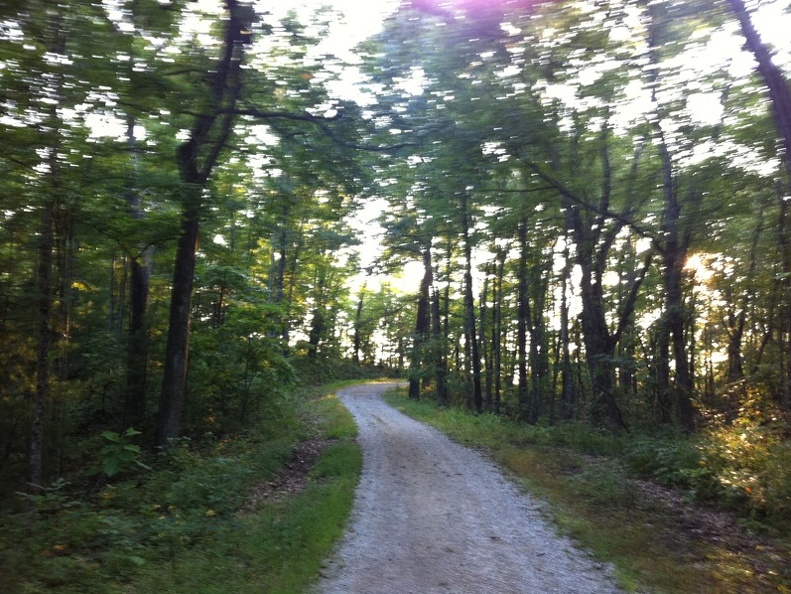 Auxier Ridge, a year after the fire